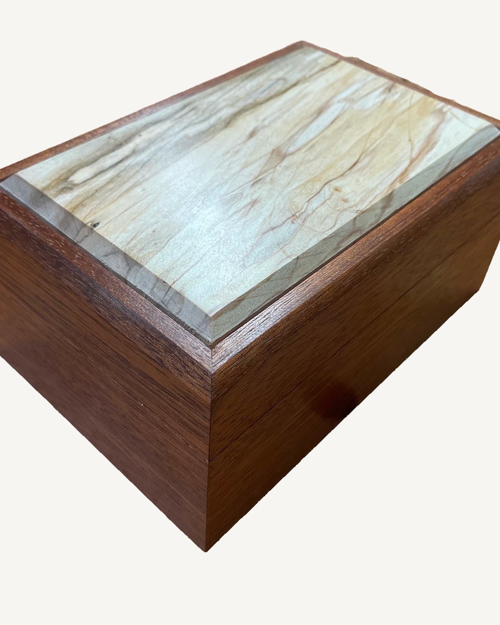 Wooden box with dark reddish-brown sapele sides and cream-coloured spalted sycamore lid featuring grey and brown grain
