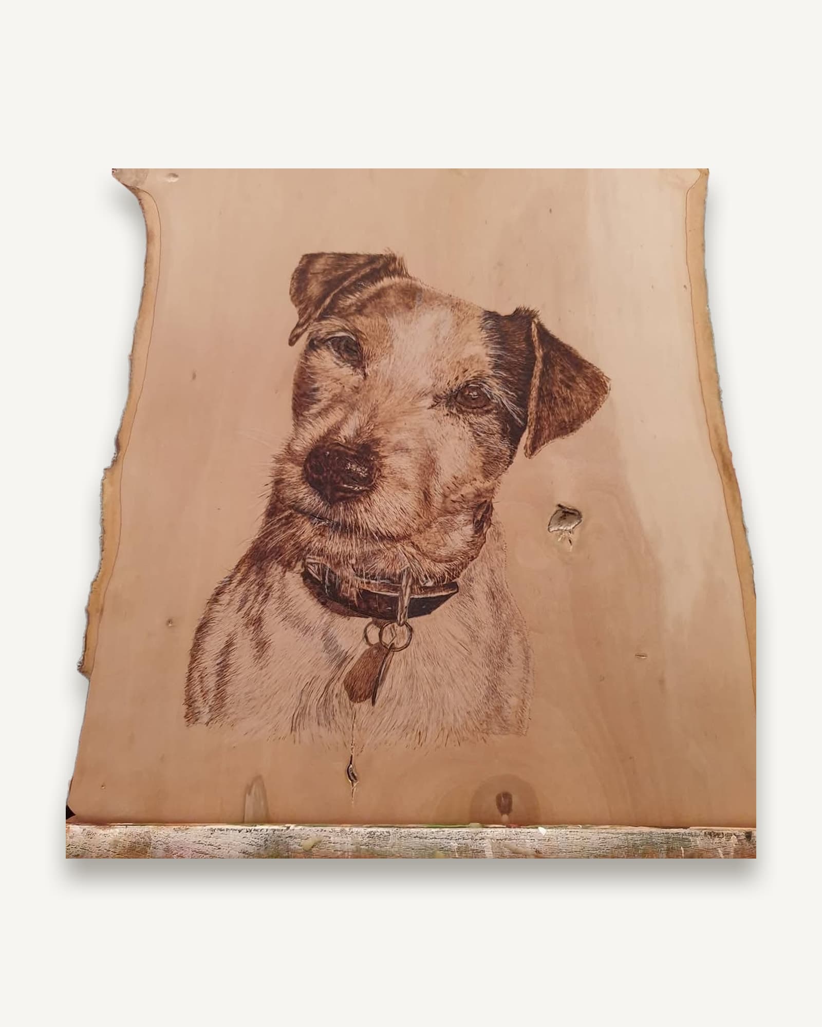 Portrait of a terrier burned onto a pale live-edge wooden board, worked entirely in tone