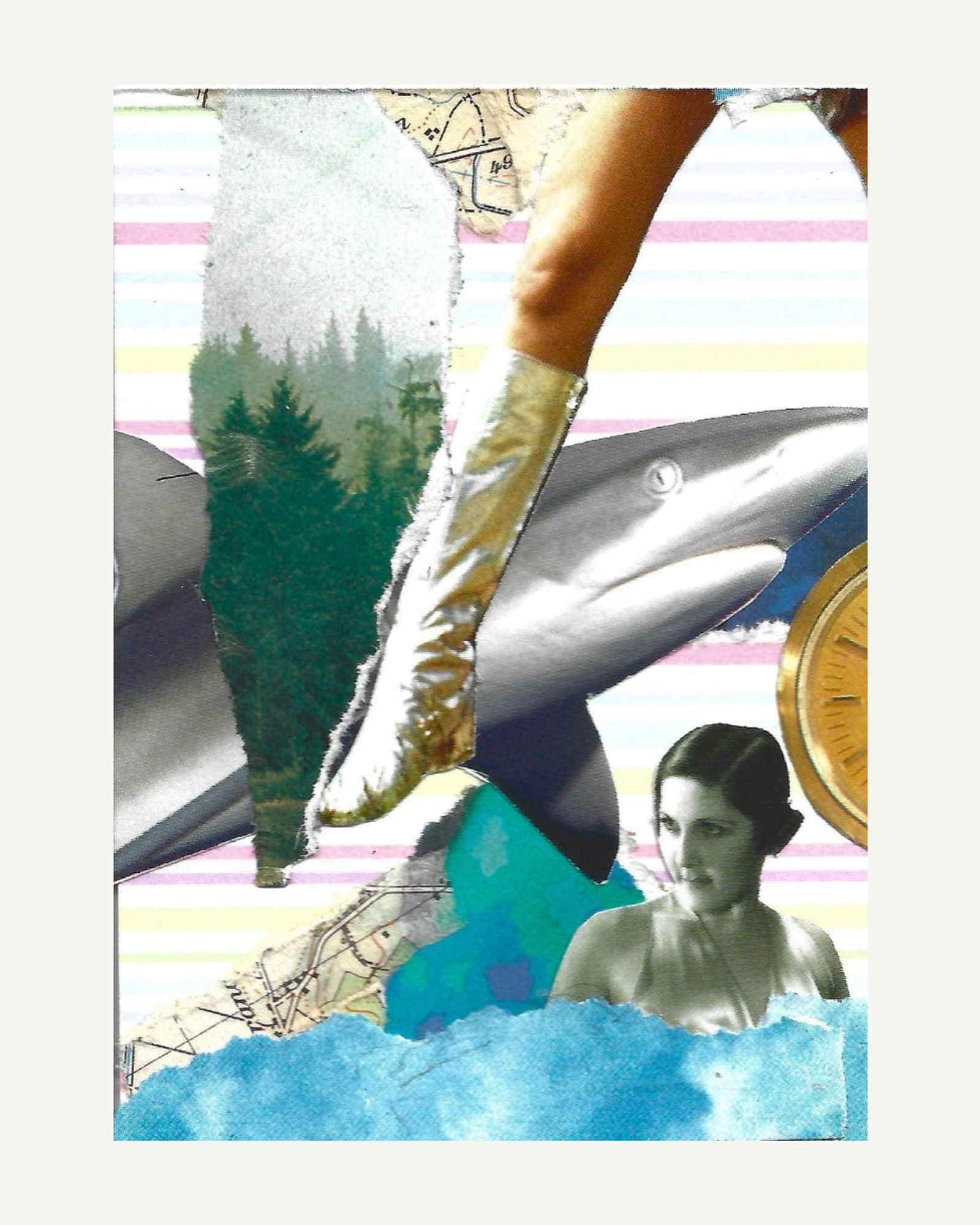 A shark, a gloved arm and a swimmer in torn blue water, cut from old maps and secondhand books on candy-stripe card.