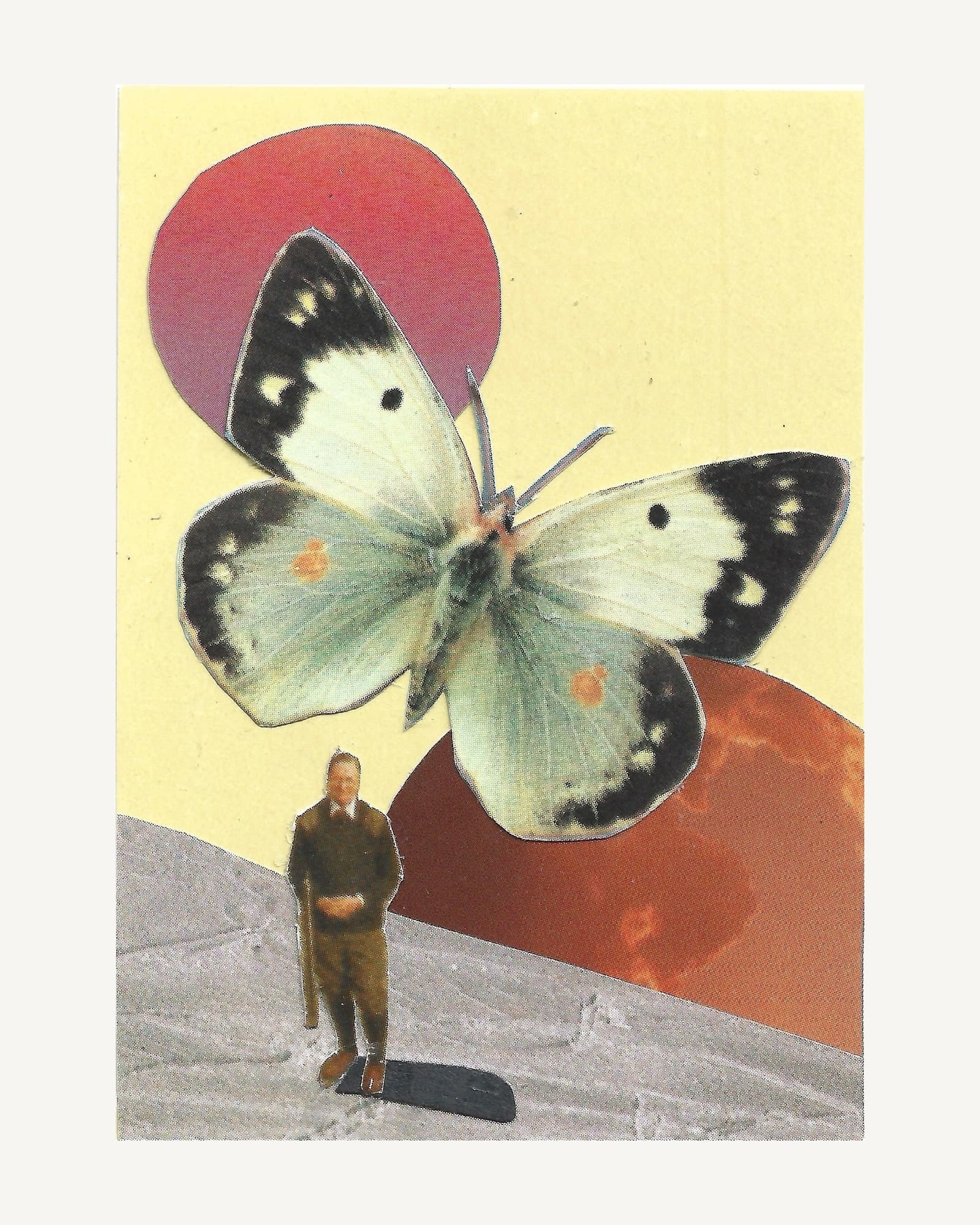 A pale clouded yellow butterfly over a small figure on grey rock, on crimson and orange discs and yellow card.