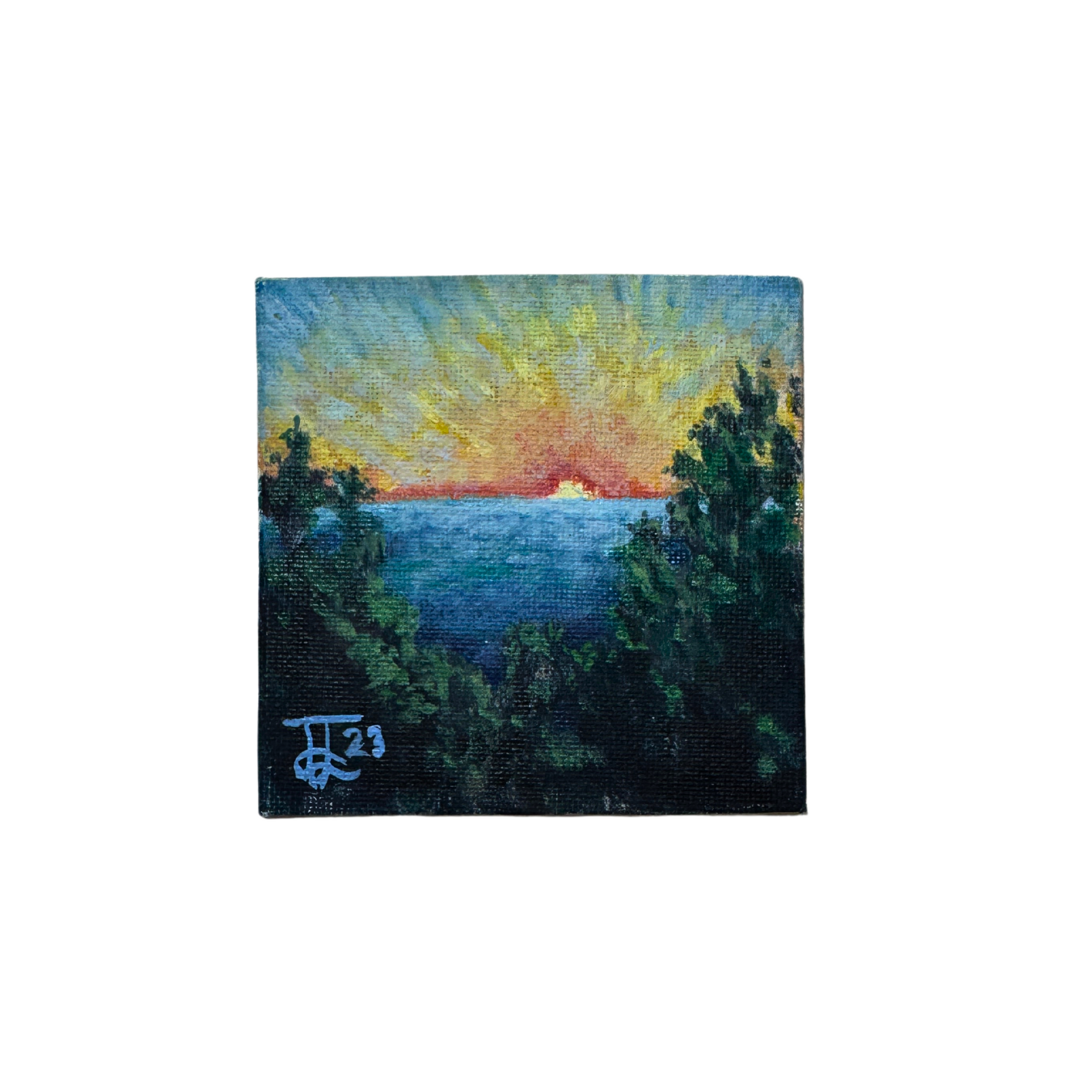 Richmond Park: Miniature Oil Painting