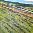 Load image into Gallery viewer, Pen Ponds: Oil Painting
