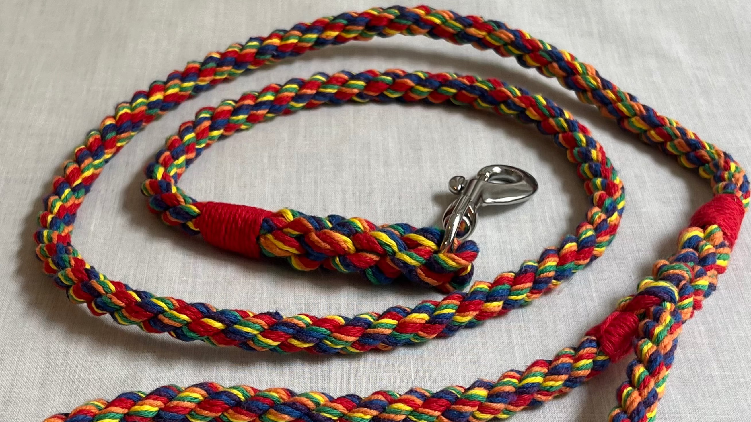Colorful braided dog leash with a metal clip on a light background