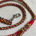 Load image into Gallery viewer, Handmade rainbow rope dog leash (made to order)
