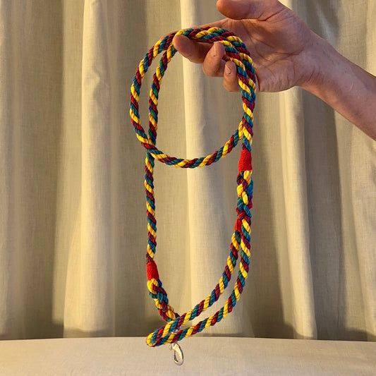 Handmade rope dog leash in rainbow - style 1 (made to order)