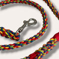 Load image into Gallery viewer, Handmade rope dog leash in rainbow - style 2 (made to order)
